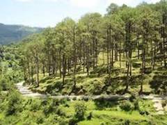 
      
      Uttarakhand utilises AI for forest management
      
      