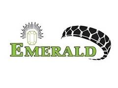 
      
      Emerald Tyre Manufacturers Limited IPO Opens on December 05, 2024
      
      