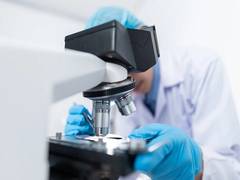 
      
      'Critical relationship between stem cells, mechanical signals'
      
      