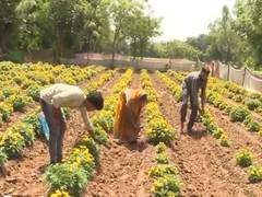 
      
      Government ensures smooth fertilizer supply at affordable prices 
      
      
