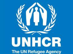 
      
      UNHCR receives record USD 1.1  billion of funding 
      
      