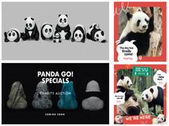 
      
      Hong Kong to Host its Largest Panda-themed Exhibition 
      
      