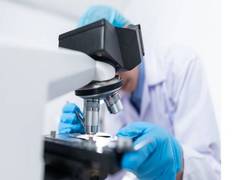 
      
      New study in breast cancer progression, drug resistance
      
      