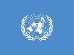 
      
      UN General Assembly boosts global fight against illegal trade 
      
      