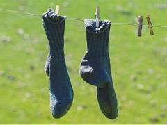 
      
      Hosiery makers to stitch 10-12% revenue growth in 2024-25 fiscal
      
      