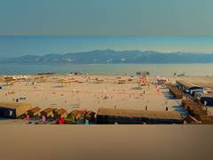 
      
      Celebrate Culture at Assam's Brahmaputra Carnival!
      
      