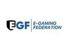 
      
      E-Gaming Federation Partners with Social & Media Matters
      
      