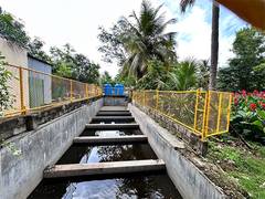 
      
      The Art of Living Pioneers Revolutionary Wastewater Treatment
      
      