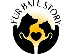 
      
      Fur Ball Story’s Bollywood-Inspired Approach to Pet Care
      
      