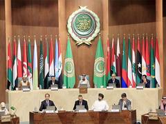 
      
      UAE participates in AP's meeting in Cairo
      
      