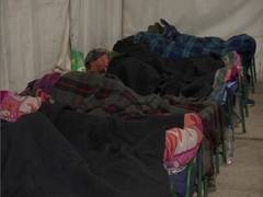 
      
      As cold wave condition grips Delhi, people look to night shelters
      
      