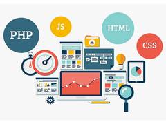 
      
      Zordo Technologies: Your Partner in Professional Web Development
      
      