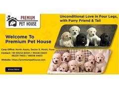 
      
      Popular Dog Breeders Premium Pet House And BestForPets Part Ways
      
      