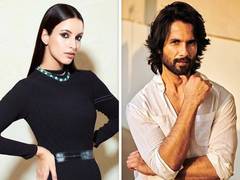 
      
      Shahid Kapoor, Triptii Dimri's film to be released in Dec 2025
      
      