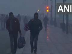 
      
      Delhi wakes up to dense fog and chill as mercury further dips
      
      