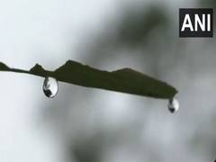 
      
      Odisha's Mayurbhanj grips with cold wave, dense fog 
      
      