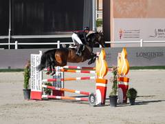 
      
      UAE: Riders from 40 countries to compete in International Show Ju
      
      