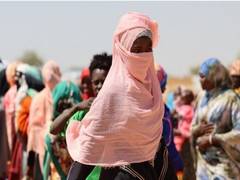
      
      “Siege in Sudan’s El Fasher leaves 782 dead,” says UN report
      
      