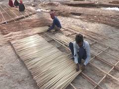 
      
      Maha Kumbh generates employment in Prayagraj
      
      