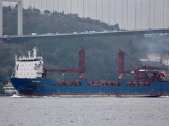 
      
      Russian cargo ship sinks in Mediterranean after explosion 
      
      
