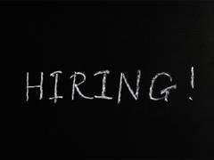 
      
      Online job postings rose by 20% in 2024, driven by digital adoption
      
      