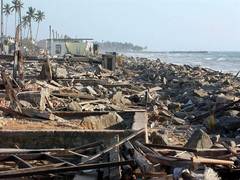 
      
      United Nations commemorates 2004 Indian Ocean Tsunami
      
      