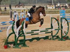 
      
      National Equestrian C'ship: ARC Riders win gold in Team Events
      
      