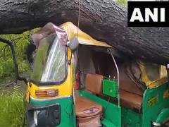 
      
      Delhi: Tree falls over an auto due to rain in Mehrauli, none inju
      
      