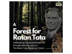 
      
      A Forest in the Memory of Industrialist Ratan Tata
      
      
