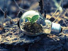 
      
      Outlook 2025: India's renewable sector strides unabated
      
      