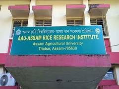 
      
      We focus on generating technologies that benefit farmers: ARRI 
      
      