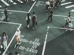 
      
      Survey finds majority of adults identify as Taiwanese
      
      