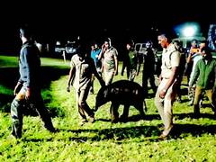 
      
      TN: Forest department rescues elephant calf separated from mother
      
      