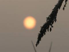 
      
      India rings in 2025 with beautiful sunrises nationwide
      
      