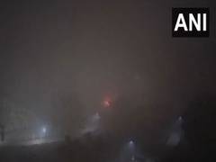 
      
      Delhi wakes up to dense fog this morning 
      
      