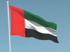 
      
      Economic growth, rise of AI driving dynamic labour market in UAE
      
      