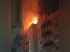
      
      Telangana: Fire breaks out in a hotel in Hyderabad; no casualties
      
      