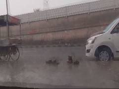 
      
      Several parts of the National Capital witness rains
      
      