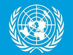 
      
      Global growth to remain subdued in 2025, warns United Nations
      
      