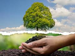 
      
      The GreenPrint Revolution: How Students are Powering Greener 
      
      
