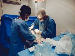 
      
      ICMR study reveals 15 lakh annual surgical site infections
      
      