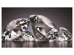 
      
      Rajnish Retail Limited Creates Historic White Diamond
      
      
