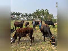 
      
      Prakash Group Empowers Rural Women by Distributing Cows Ranchi
      
      