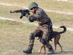
      
      Rahul Gandhi, Mallikarjun Kharge extend wishes on 77th Army Day
      
      