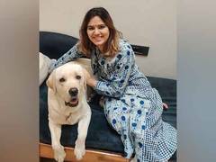
      
      Zoivane Pets Expands its Range of Premium Pet Care Products
      
      