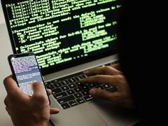 
      
      Pak cybercrime conviction rate below 5 per cent
      
      