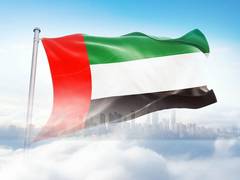 
      
      Global companies attest to UAE's role in renewable energy sector
      
      