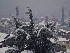 
      
      Temperature plummets in J-K's Doda after snowfall in upper reache
      
      