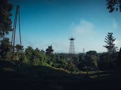 
      
      Regional Workshop on Environment & Forest Laws in Oil & Gas 
      
      