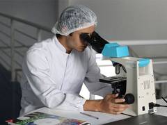 
      
      AI-driven technique analyses heart cells' electrical signals 
      
      